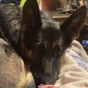 Meet your Posher, Curtis